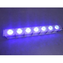 LED Flood Light 1120W en RGB